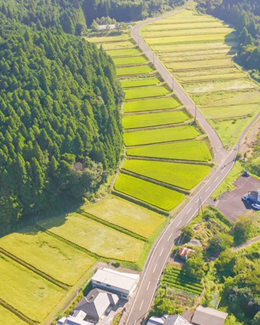 山女原の風景